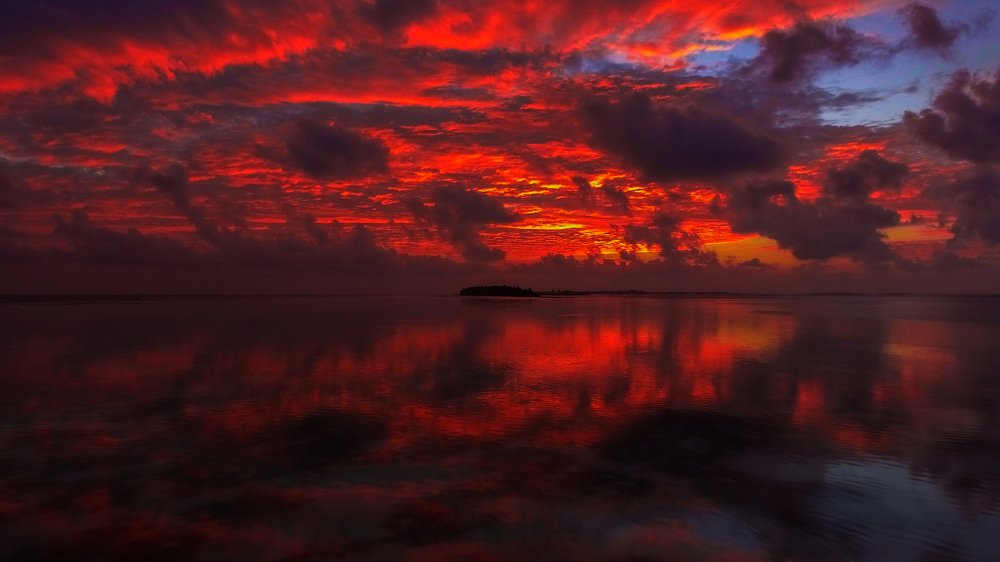 Photograph by LESIEUR Regis