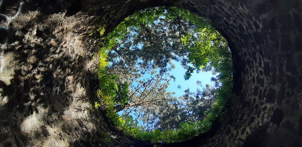 Photo #4735568
