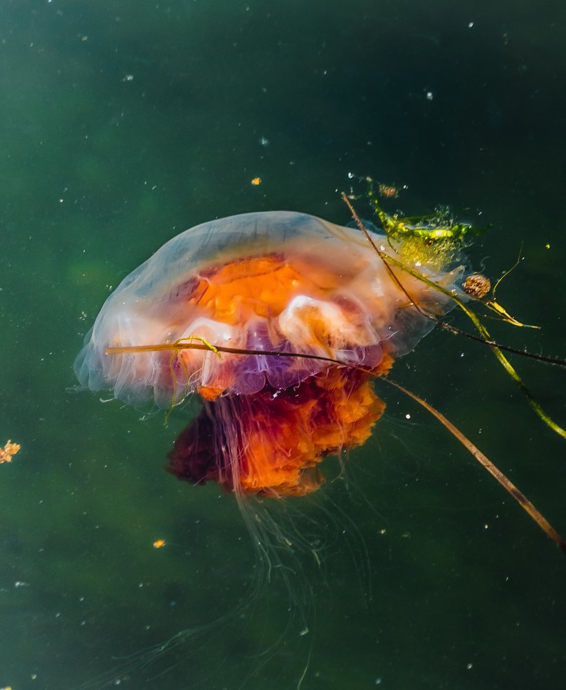 Photograph by Marcin Morawski