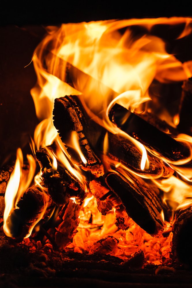 Photograph by Елена Горохова