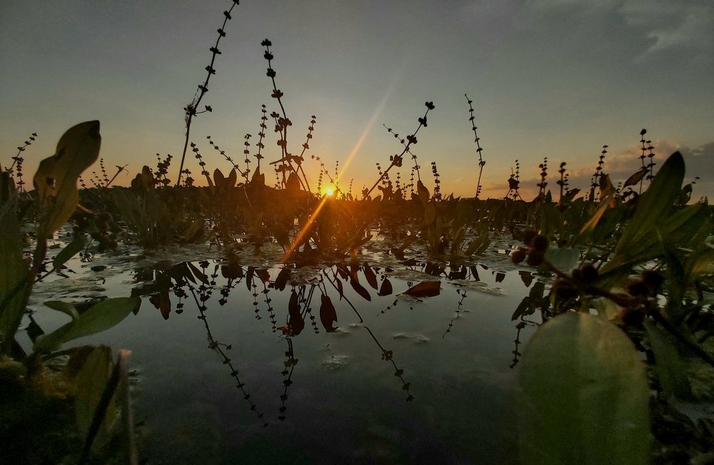 Photo #4735651