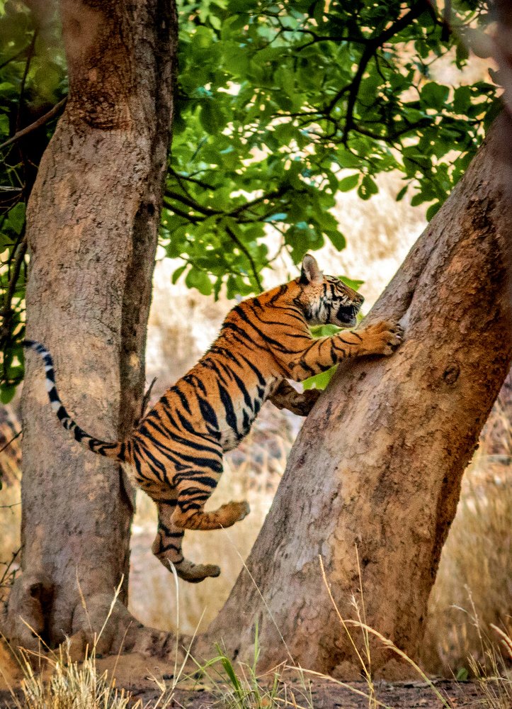 LEARNING THE HARD WAY