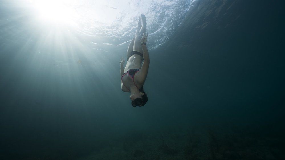 The body and the light ...