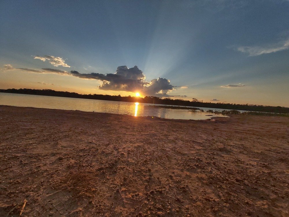 Photo #4735859
