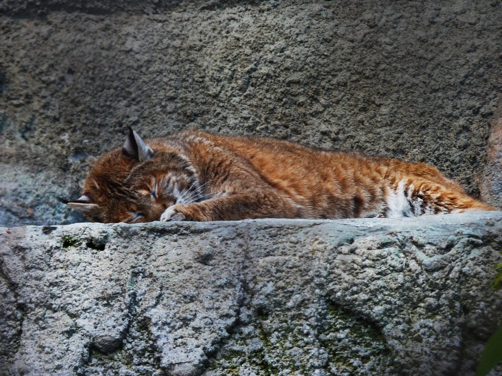 Photograph by Galina Leskova