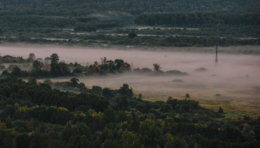 Фотография автора Паша Петров