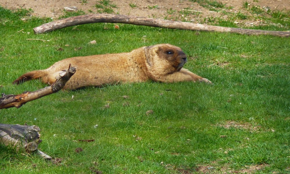 Photograph by Galina Leskova