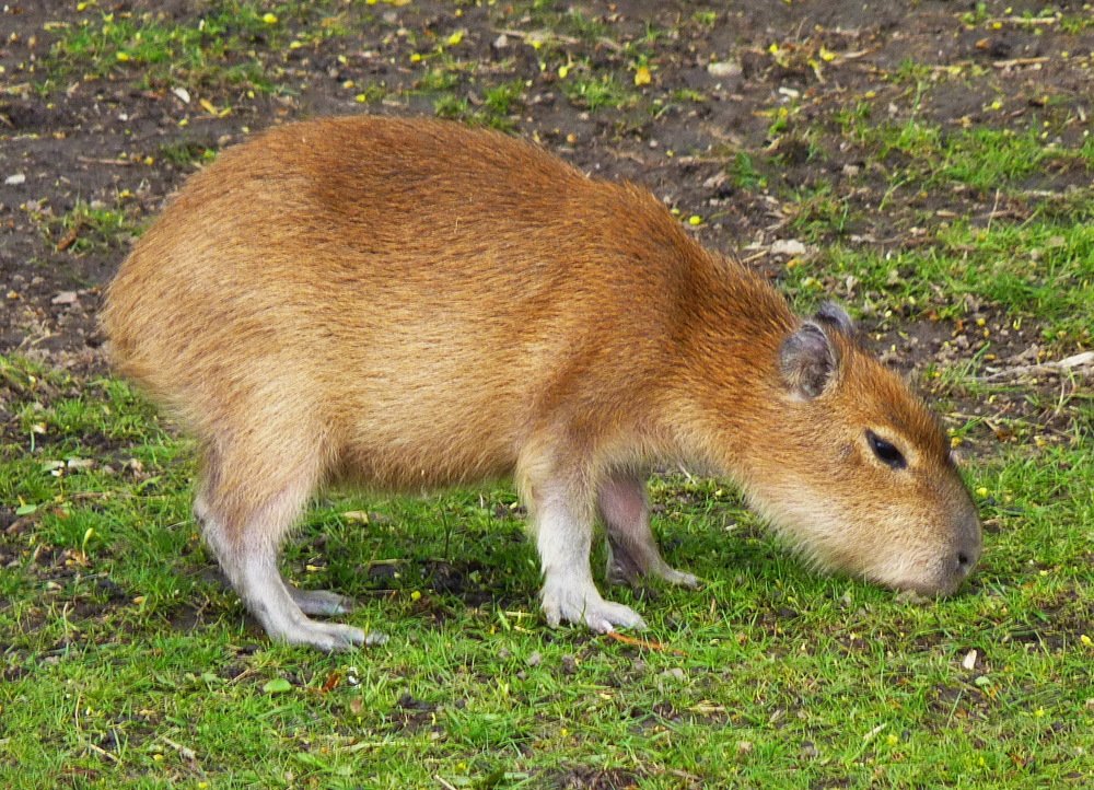 Photograph by Galina Leskova