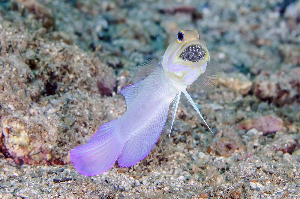 Taking care of the future ...