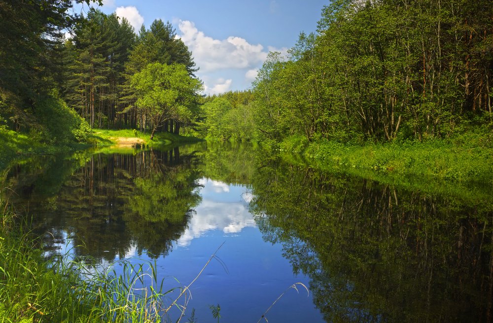 Июнь на тихой речке