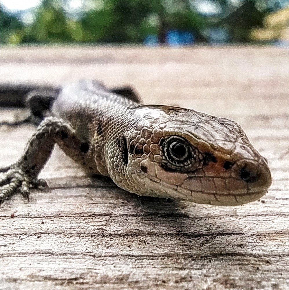 Photograph by Владимир Каменев