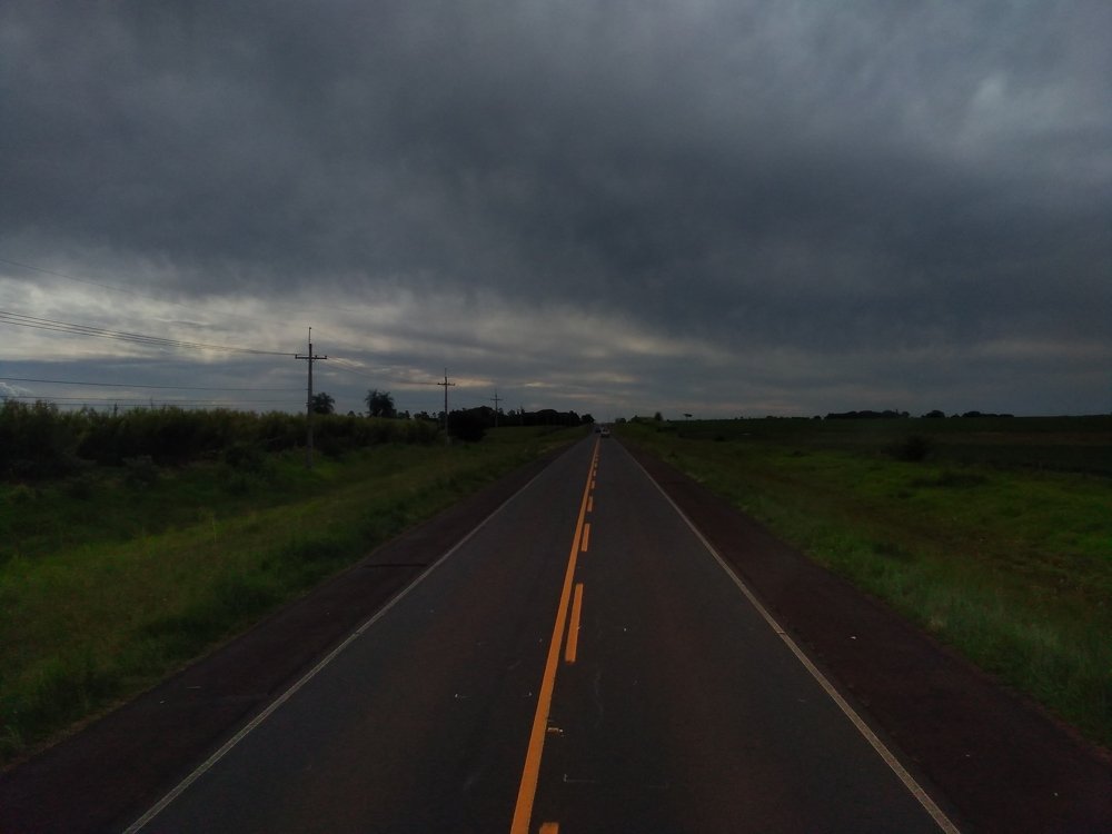 Photo #4735998