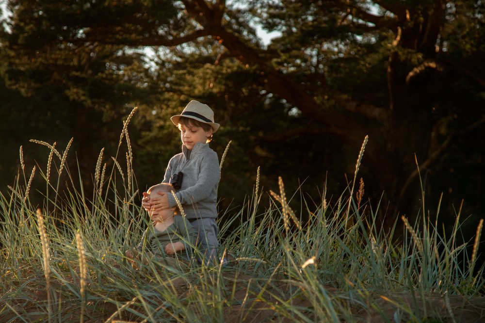 Над пропастью во ржи