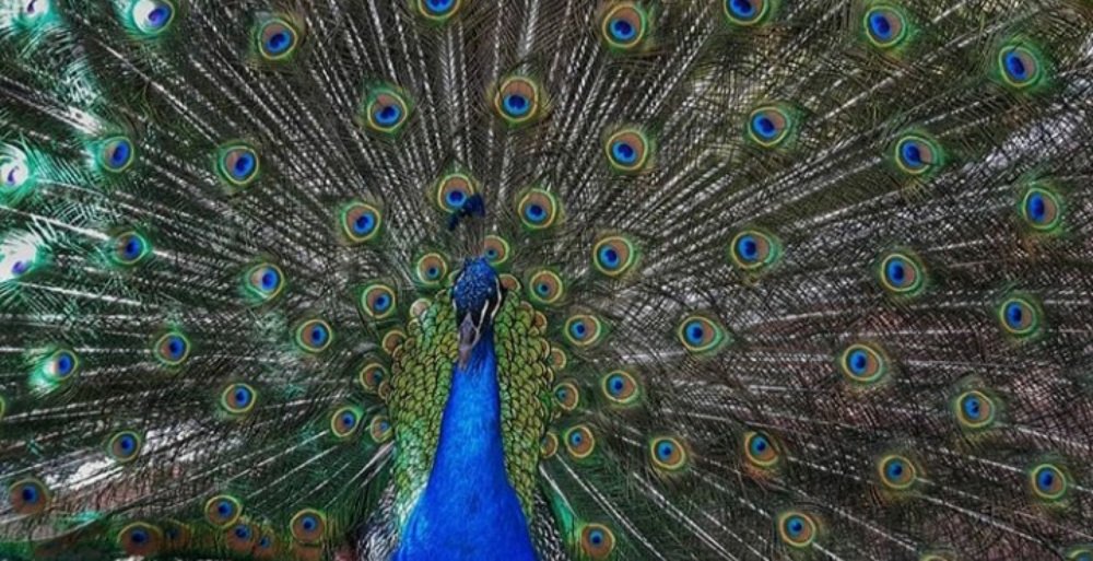 Photograph by William Rafael