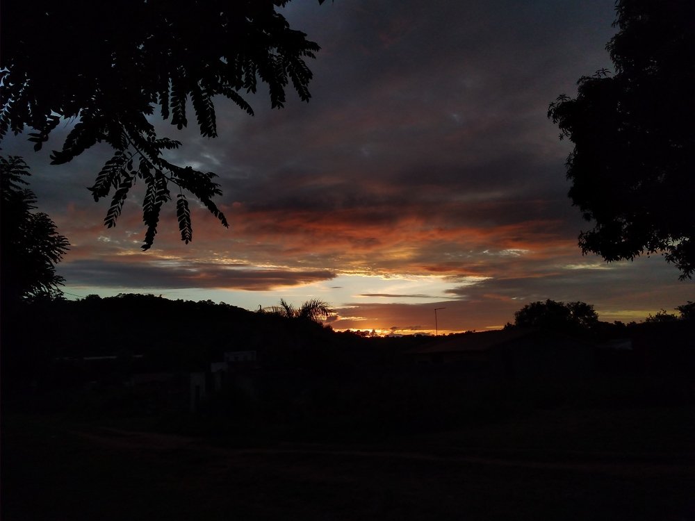 Photo #4736162