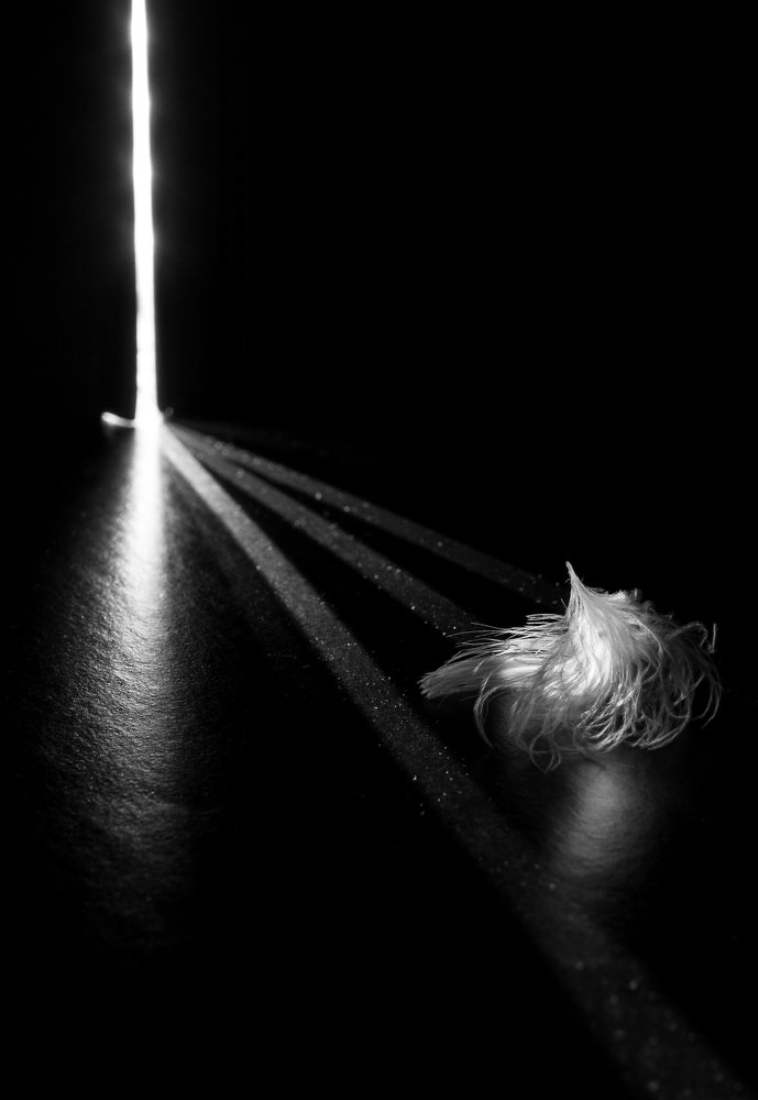 Photograph by Михаил Курихин