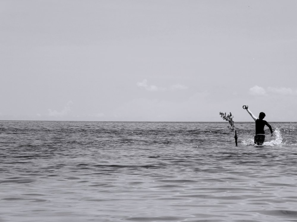 Libertad