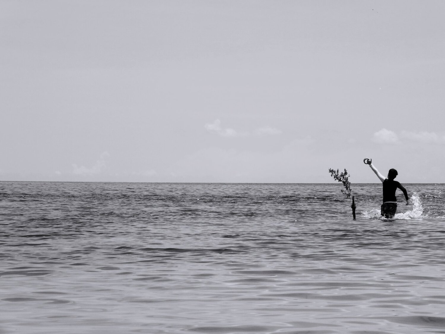 Libertad