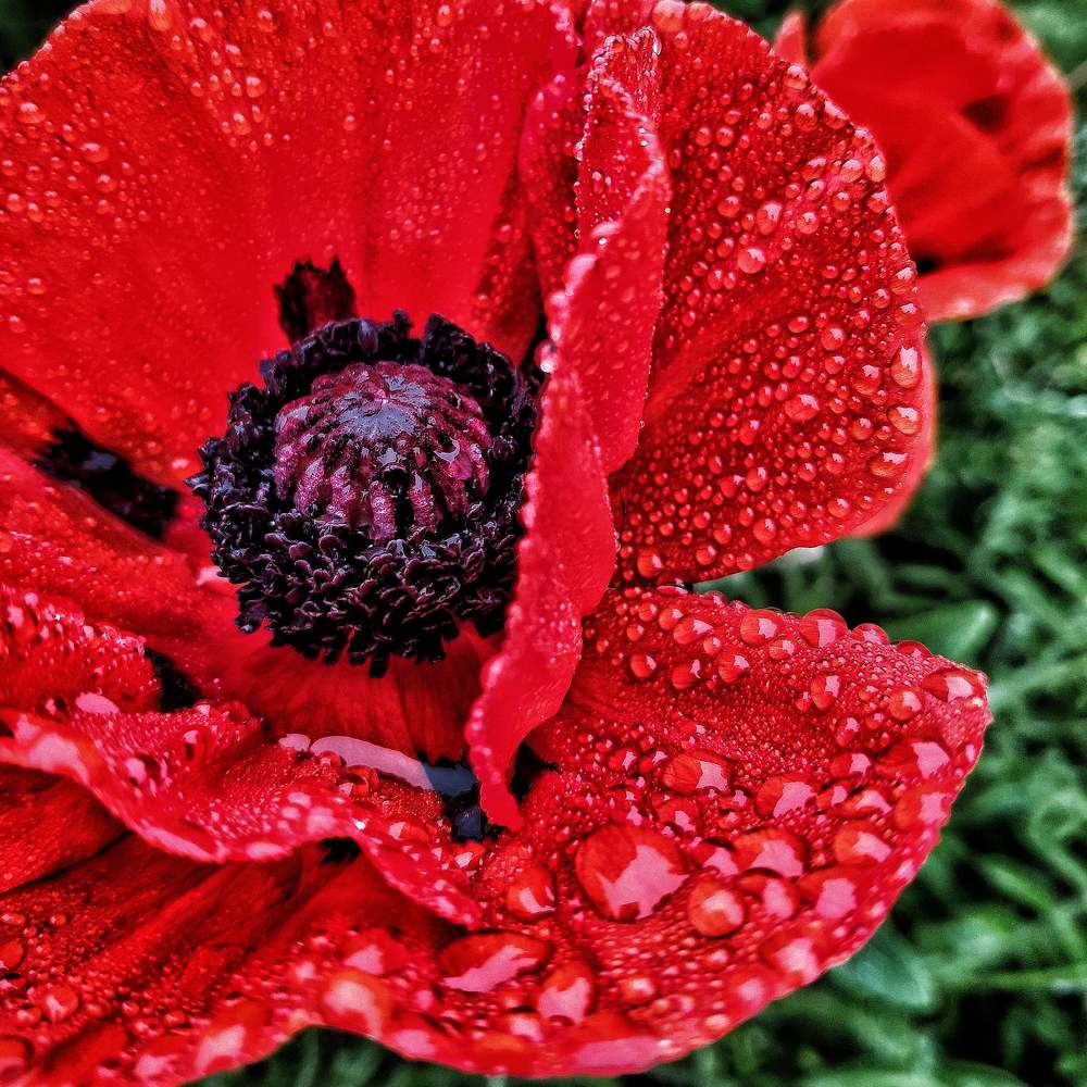 Photograph by Татьяна Лисянская