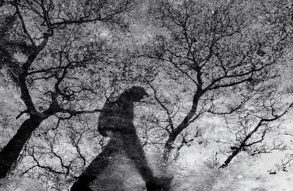 A walk after the rain