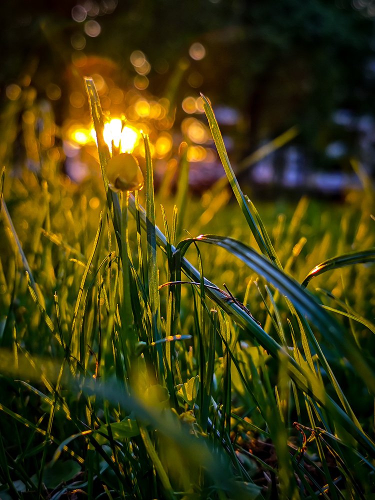 Photograph by Евгений Гусаков