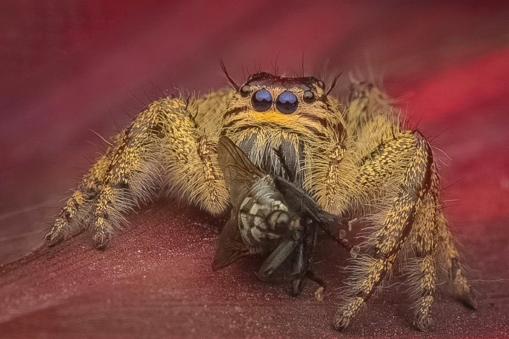 Photograph by EL Nova