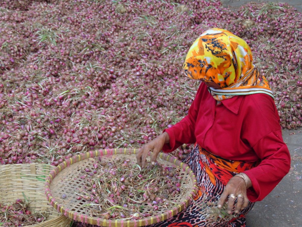 Photograph by Diana Diana