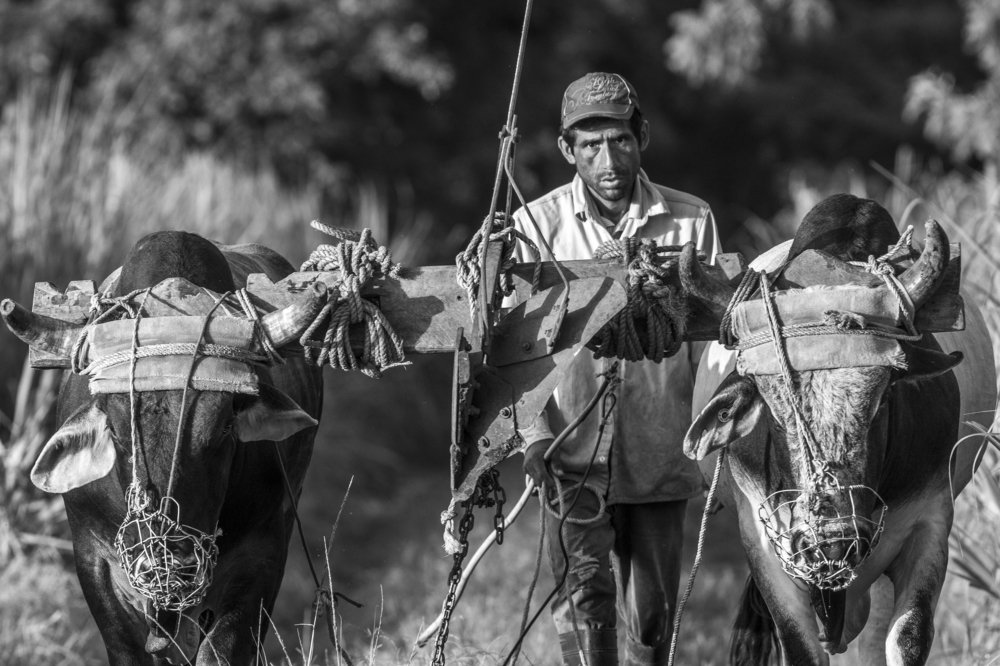 Photograph by Nacho Rojica