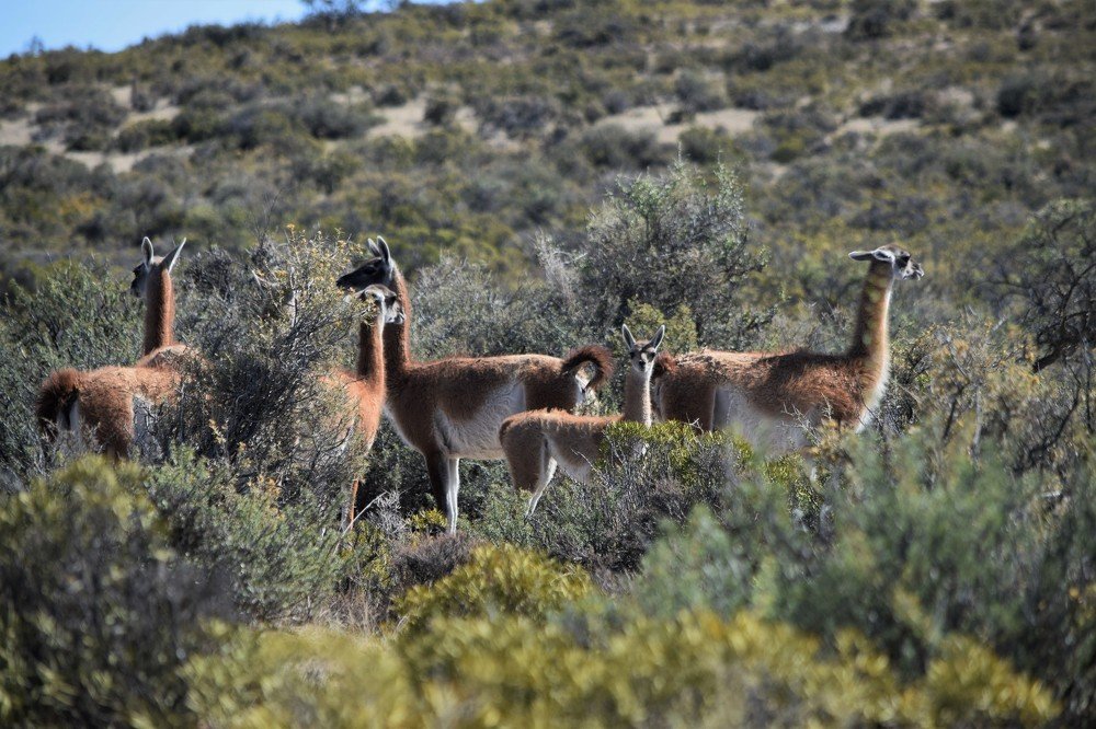 Photograph by Alfredo Jacquemard
