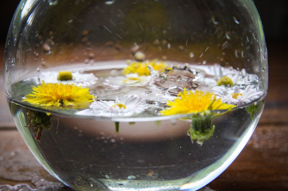 Photograph by Жанна Цветкова