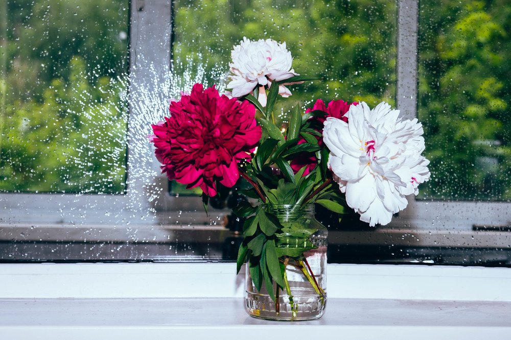 Photograph by Татьяна Ефименко