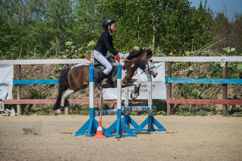 Photograph by Алёна Николаева