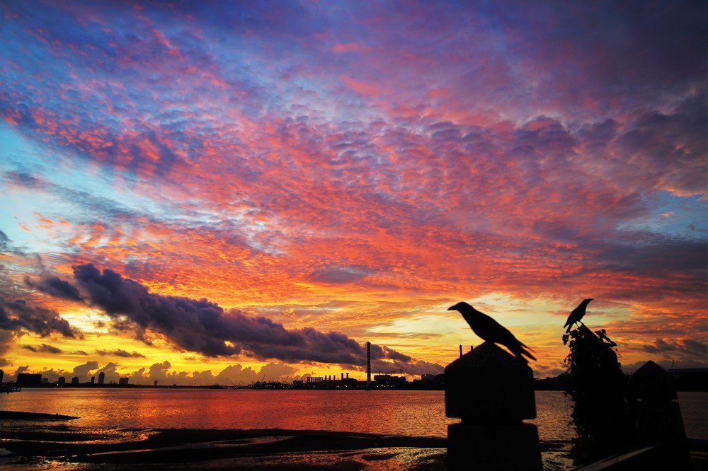 Photograph by Samuel Chan