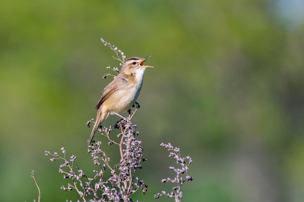 Photograph by Виктор Чернюк