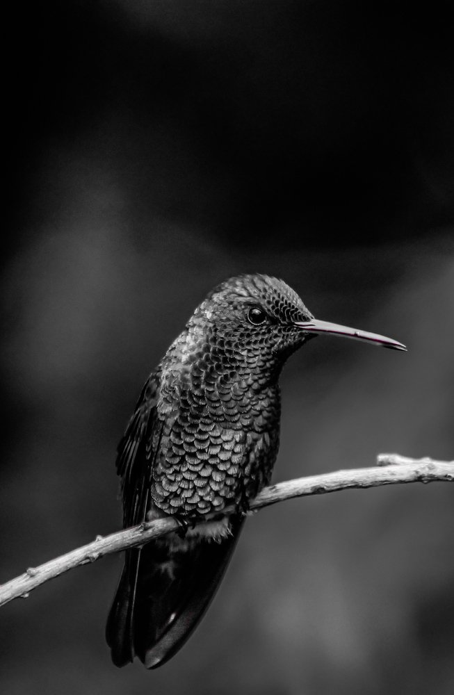 Photograph by Jesus Santamaría