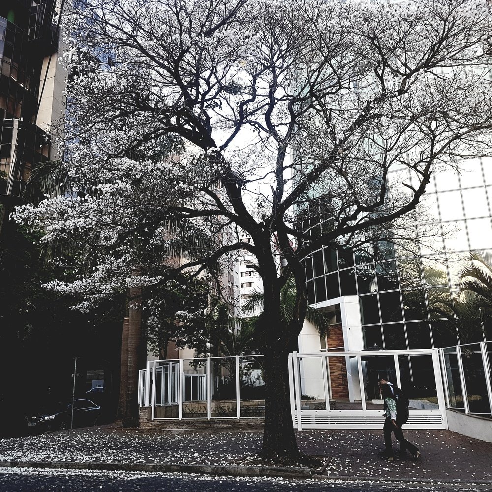 Photograph by ADRIANA DE CARVALHO