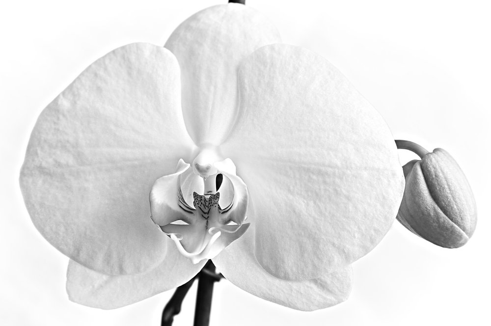 Photograph by Евгений Козлов