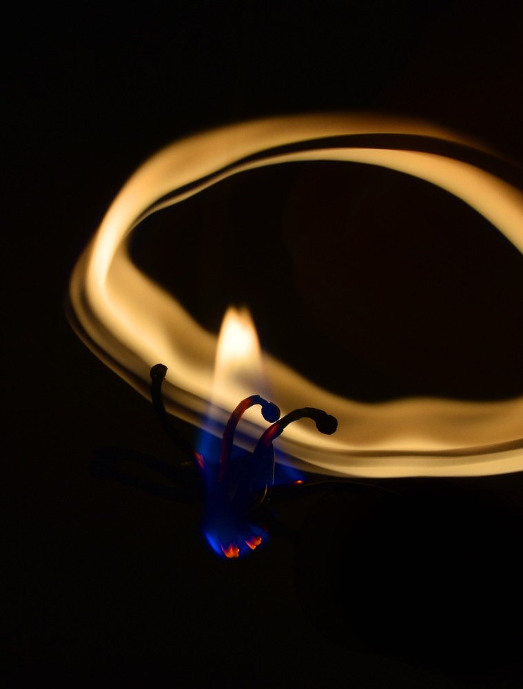 Фотография автора Маис Киракозов