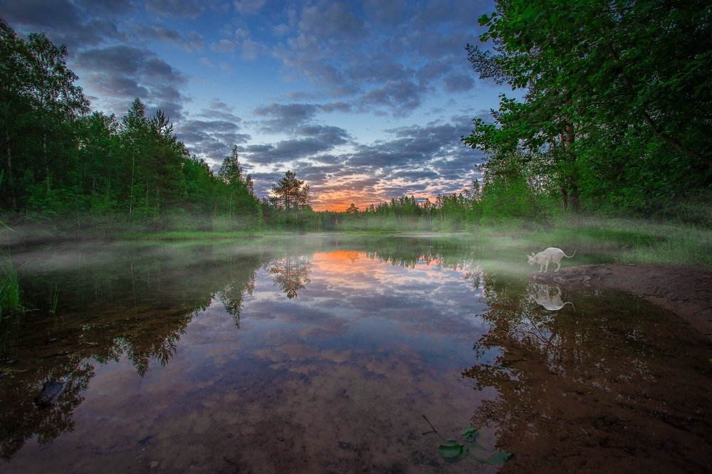 Photograph by Николай Сизиков