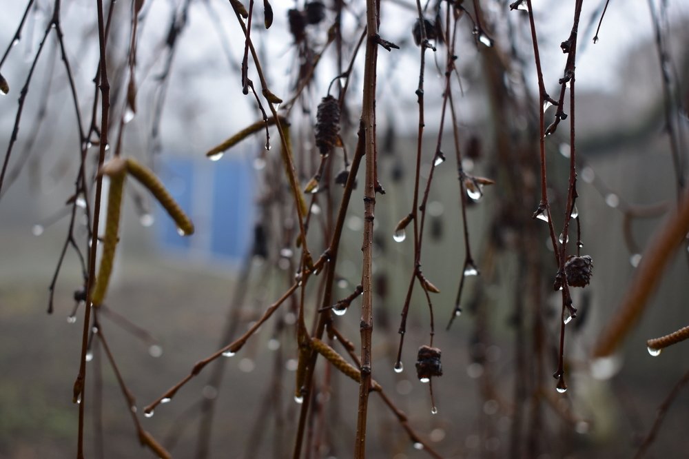 Фотография автора Алина Батын