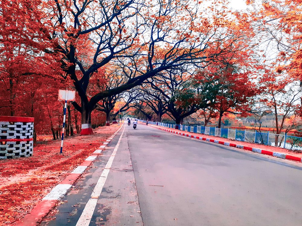 Photograph by Aditya Mondal