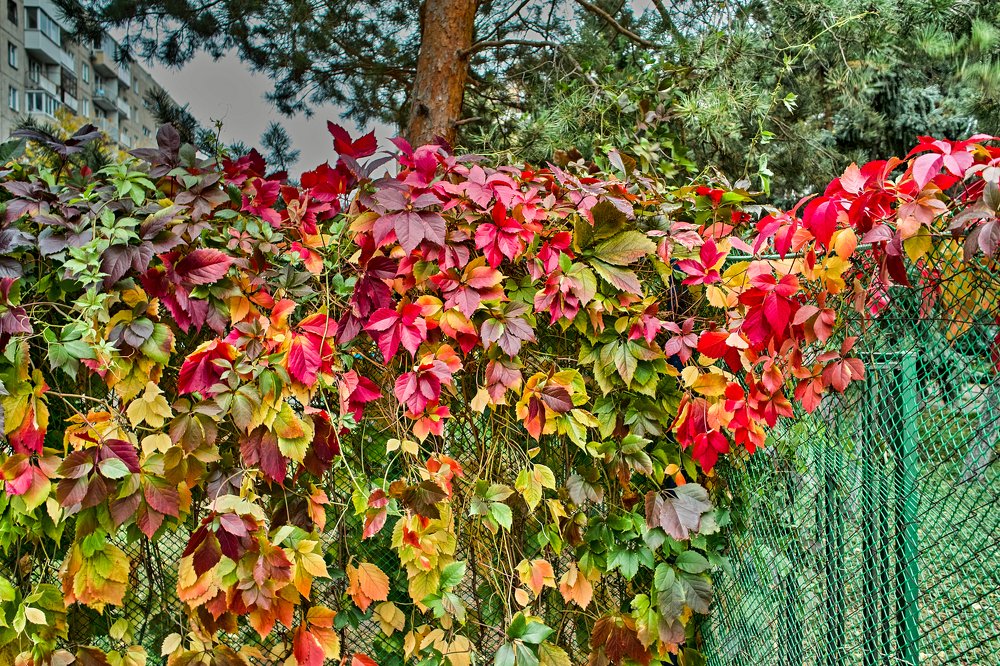 Фотография автора Игорь Игоревич