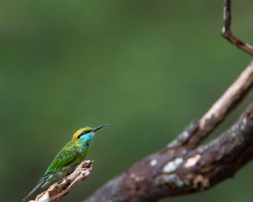 Ready for the launch!