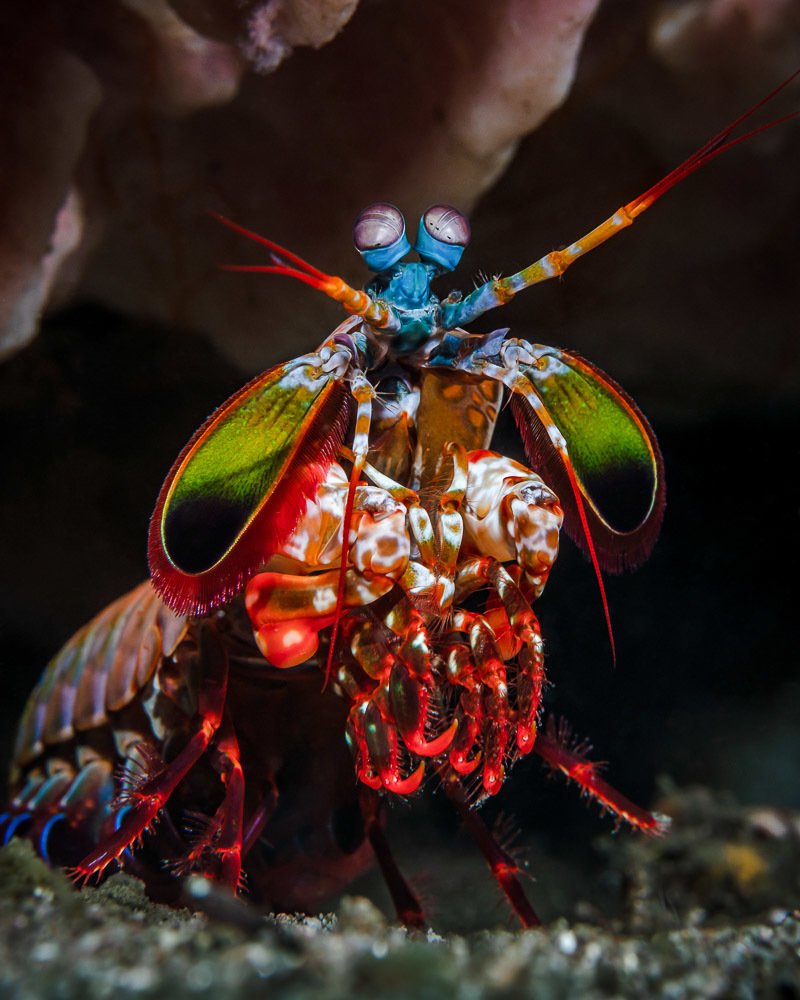 Photograph by Андрей Савин