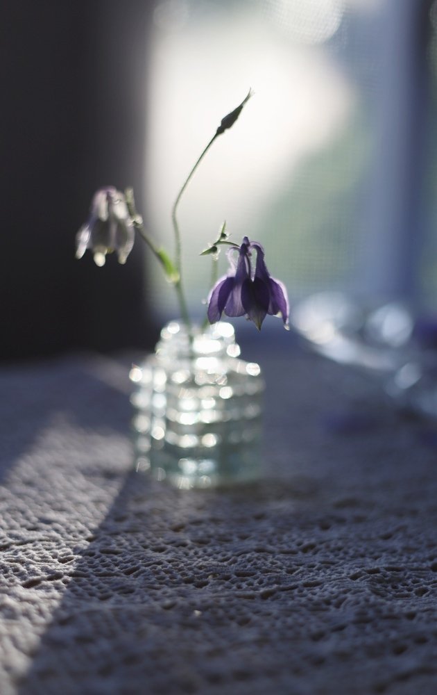 Photograph by Ася Радченко