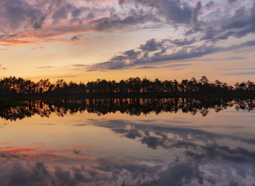 Photograph by Susanna Kari