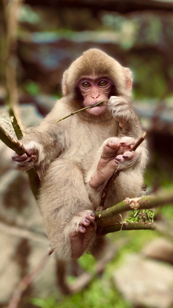 Photograph by LESIEUR Regis