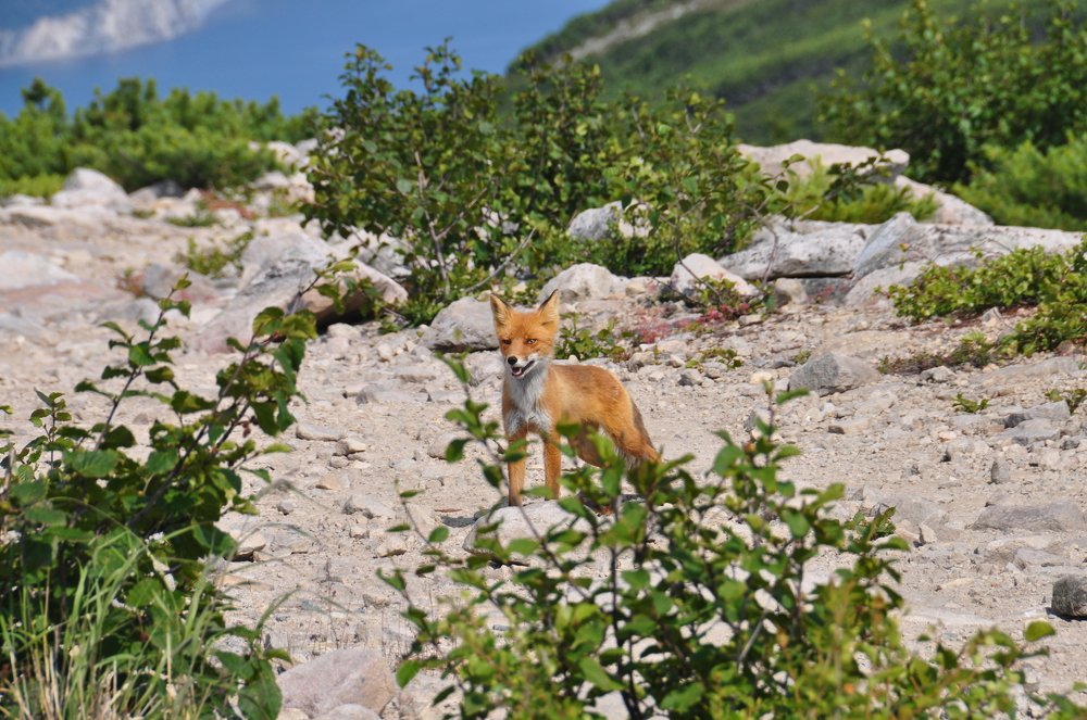 Photograph by Евгений Захаров