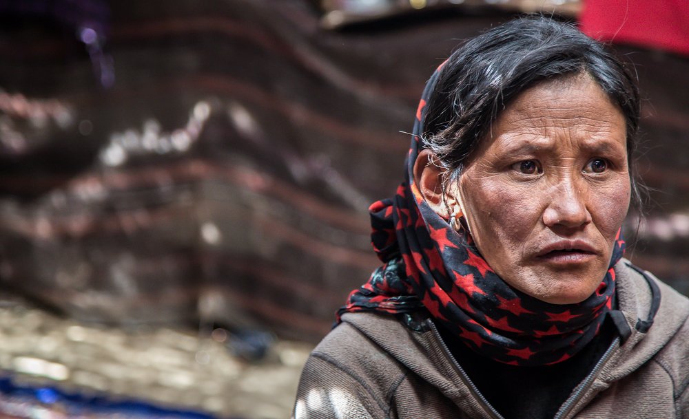 Кочевница - Nomad