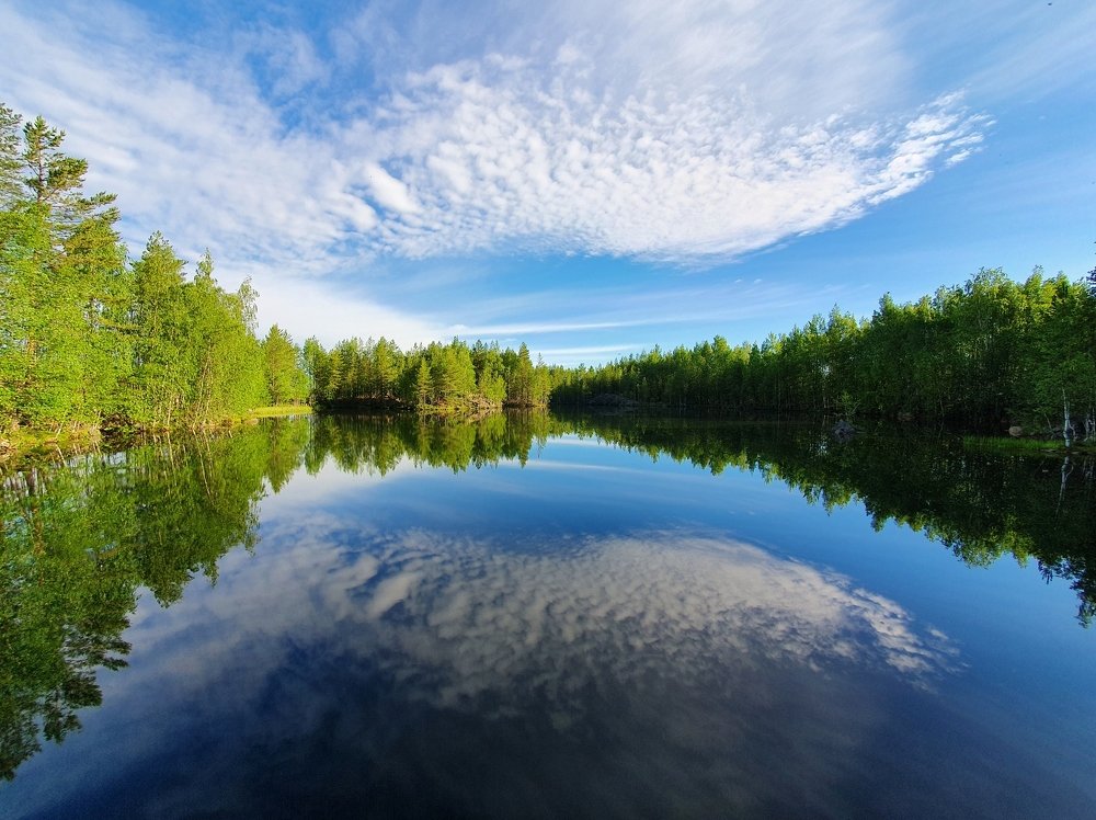 Про облака и крылья